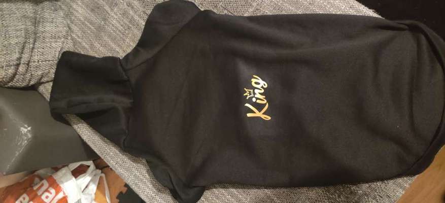 Hundesachen von Temu-Beitrag-Bild