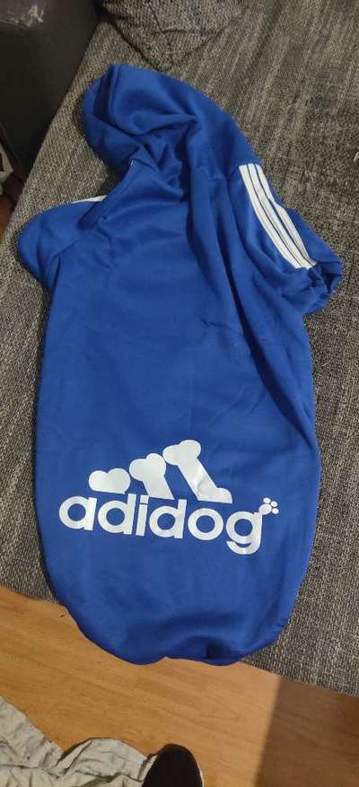 Hundesachen von Temu-Beitrag-Bild