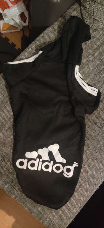 Hundesachen von Temu-Beitrag-Bild