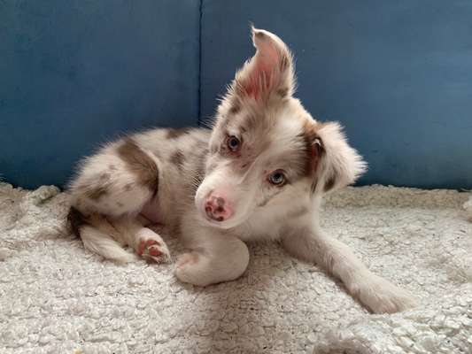 Lieblingsbild-Beitrag-Bild