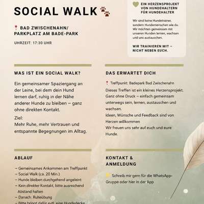 Hundetreffen-Social Walk - ohne Hundekontakt-Bild