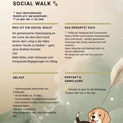 Hundetreffen-Social Walk - ohne Hundekontakt-Bild