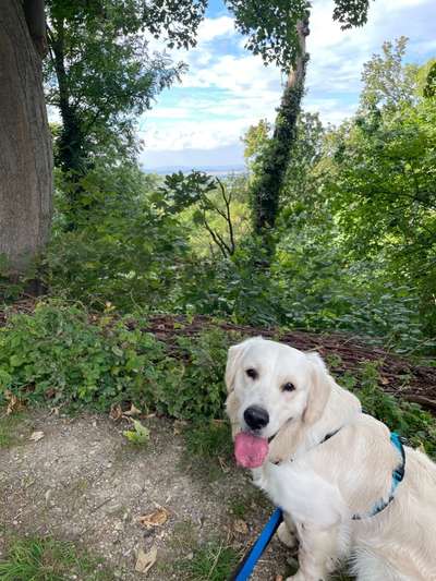 Blick fürs Detail!-Beitrag-Bild