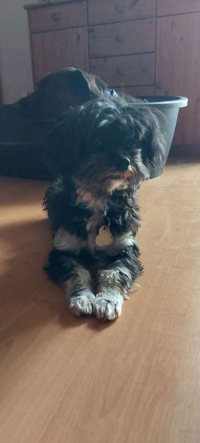 Doppelgänger gesucht !-Beitrag-Bild