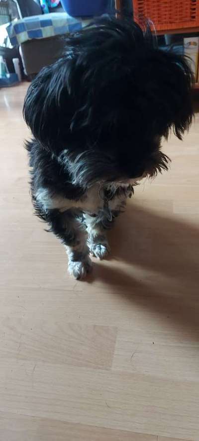 Doppelgänger gesucht !-Beitrag-Bild