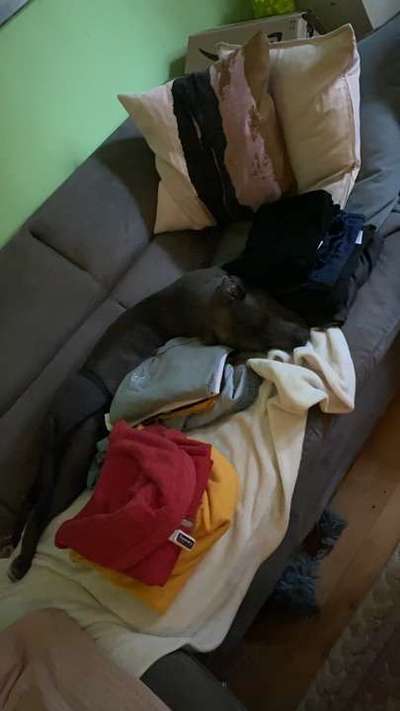 Die unbequemsten und lustigsten Schlafpositionen-Beitrag-Bild