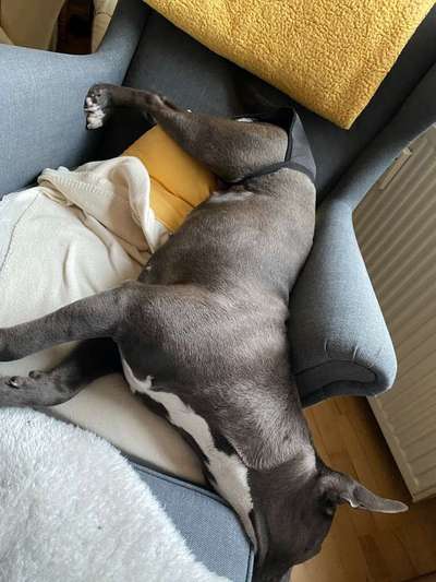 Die unbequemsten und lustigsten Schlafpositionen-Beitrag-Bild