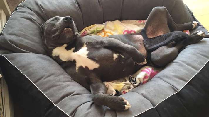 Die unbequemsten und lustigsten Schlafpositionen-Beitrag-Bild