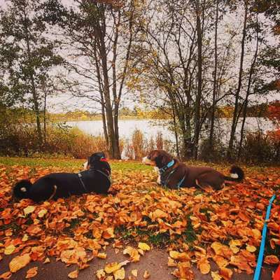 Wie oft füttern?-Beitrag-Bild