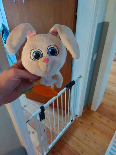 Kuscheltier-Beitrag-Bild