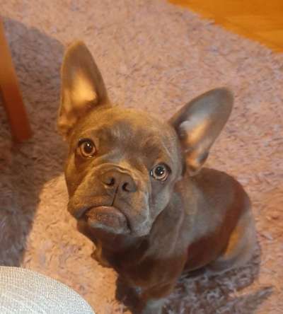 Fotochallange Nr. 57     PORTRÄT.   Beendet!!!!!!!!-Beitrag-Bild