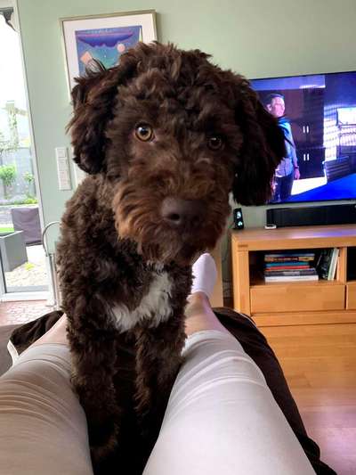 Doppelgänger gesucht !-Beitrag-Bild