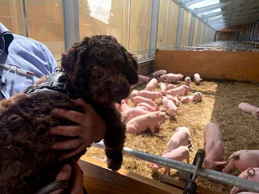 Doppelgänger gesucht !-Beitrag-Bild