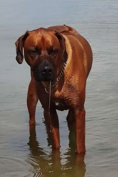 147. Foto Challenge: Bettelblick-Beitrag-Bild