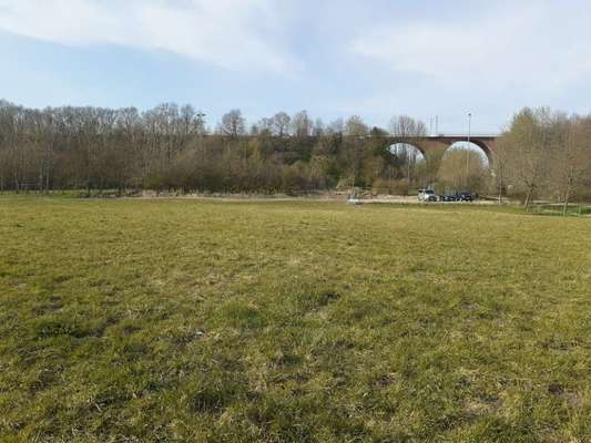 Hundeauslaufgebiet-Osterrönfeld-Bild