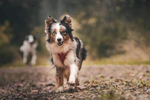 Austausch zur Fotografie-Beitrag-Bild