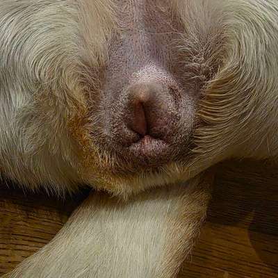 Wieder läufig ?-Beitrag-Bild