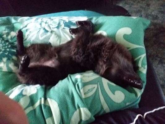 Die unbequemsten und lustigsten Schlafpositionen-Beitrag-Bild