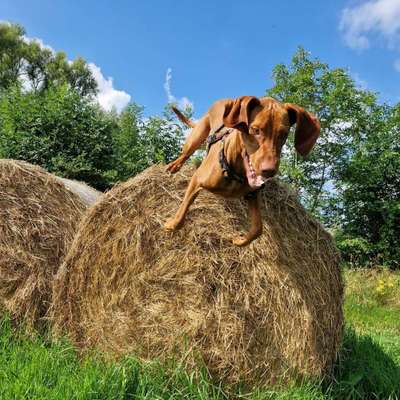 Dagmar 's Profilbild