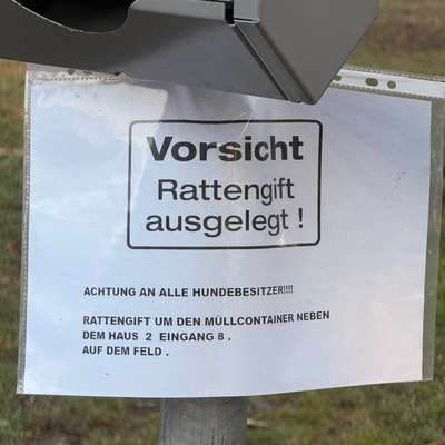 Giftköder-Rattengift-Bild