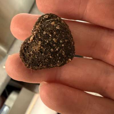 MAMMALY Multi Vital-Beitrag-Bild