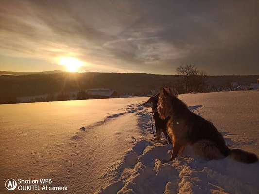 Schneenasen-Beitrag-Bild