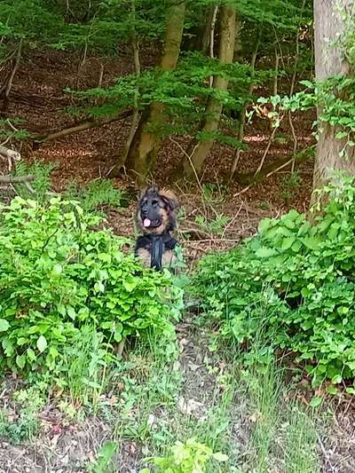 Handyfoto challenge Nr. 13: Waschlappen raus!-Beitrag-Bild