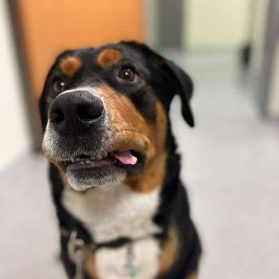 Fotochallenge Nr. 67: Euer Lieblingsbild-Beitrag-Bild