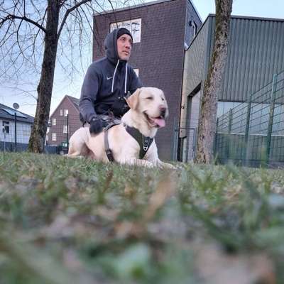 Hundetreffen-Spielkamerad gesucht in Lüttringhausen-Bild