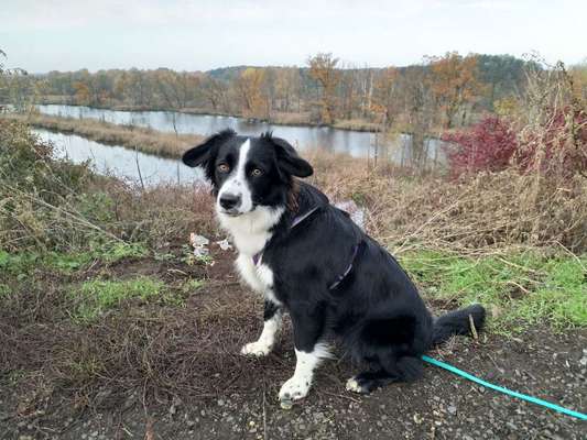 Vorher.... Nachher-Beitrag-Bild