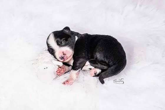 Vorher.... Nachher-Beitrag-Bild