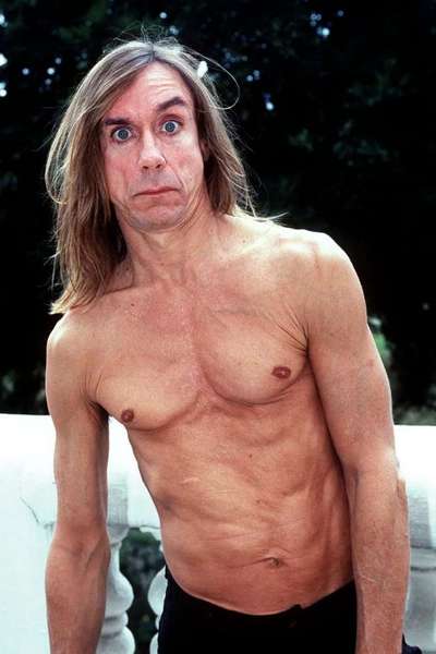 Wie heißt dein Hund?-Beitrag-Bild