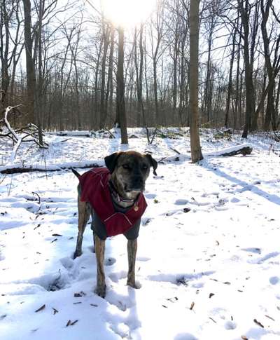 Pullis, Jacken, Hütte und alles sonstiges-Beitrag-Bild