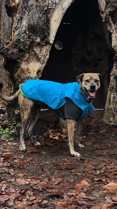 Pullis, Jacken, Hütte und alles sonstiges-Beitrag-Bild