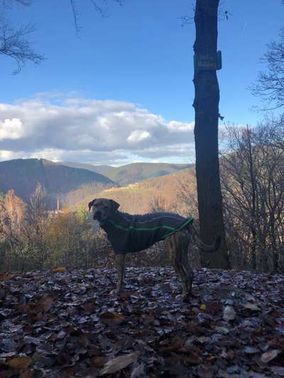 Pullis, Jacken, Hütte und alles sonstiges-Beitrag-Bild