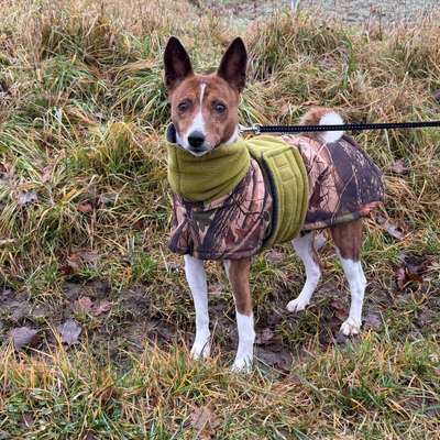 Welche Mäntel empfehlt ihr?-Beitrag-Bild