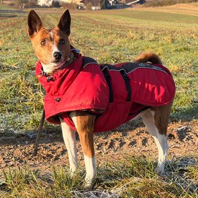 Welche Mäntel empfehlt ihr?-Beitrag-Bild