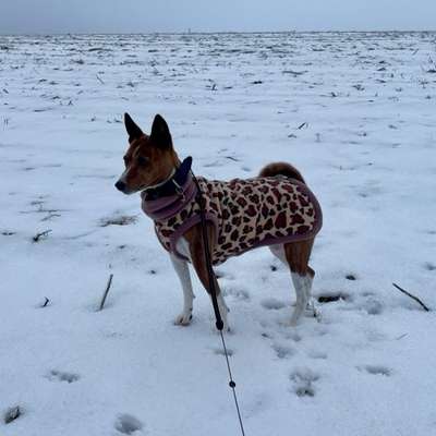 Welche Mäntel empfehlt ihr?-Beitrag-Bild