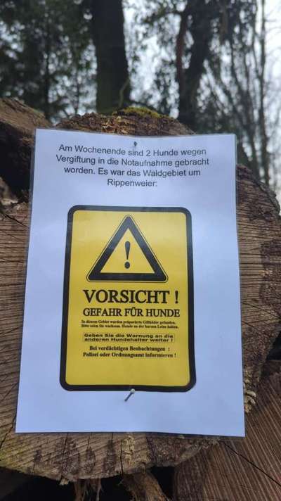 Giftköder-Giftköder Waldgebiet um Rippenweier-Bild