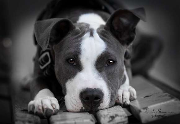 Fotochallange Nr. 57     PORTRÄT.   Beendet!!!!!!!!-Beitrag-Bild