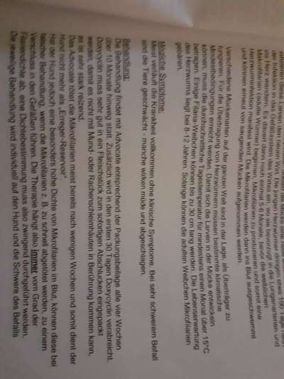 TierschutzhundeStammtisch🐕-Beitrag-Bild