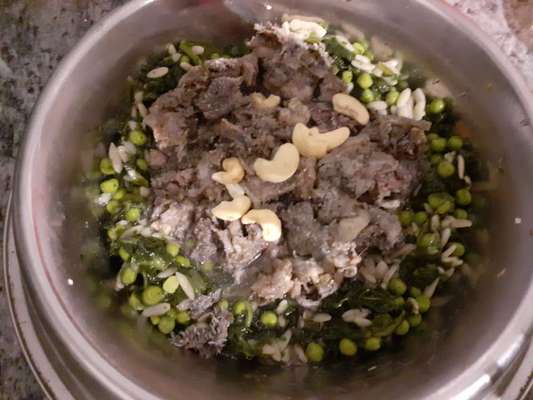 Zeigt her Eure Futternäpfe-Beitrag-Bild