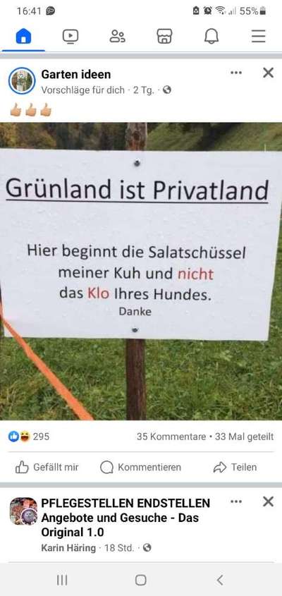 LEINENPFLICHT AM RHEIN-Beitrag-Bild