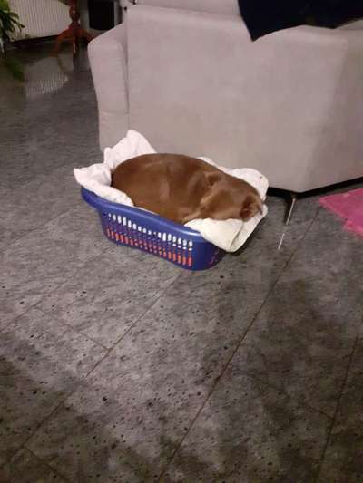 Die unbequemsten und lustigsten Schlafpositionen-Beitrag-Bild