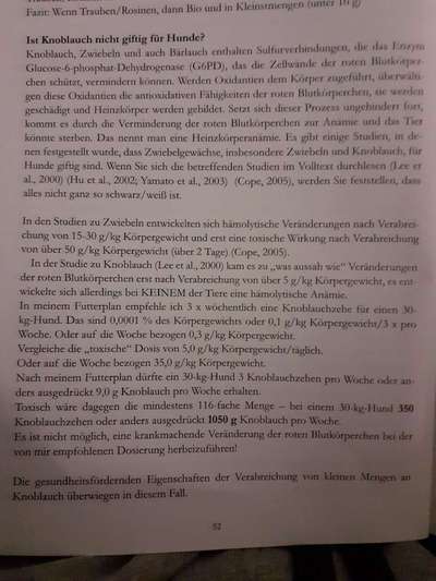 Hochwertiges / Bedarfsgerechtes Nassfutter (ohne Barfen), welches nur?-Beitrag-Bild