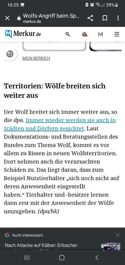 Wolfsbegegnung-Beitrag-Bild