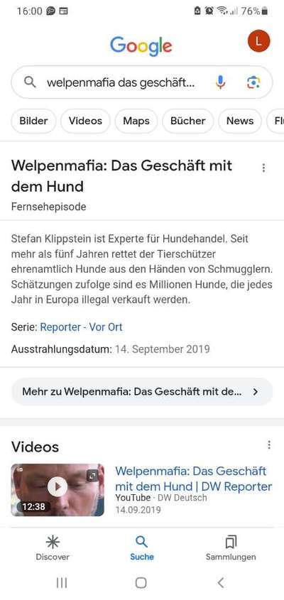 Tierschutz - Auslandstierschutz oder örtliches Tierheim?-Beitrag-Bild