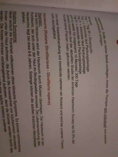 TierschutzhundeStammtisch🐕-Beitrag-Bild