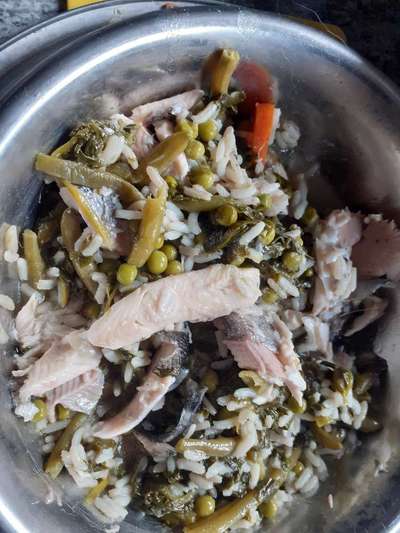 Zeigt her Eure Futternäpfe-Beitrag-Bild