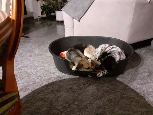 Foto Challenge Nr.: 115-Beitrag-Bild